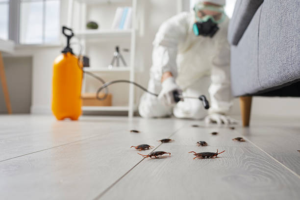 Commercial Kitchen Cockroach Control in Alum Creek